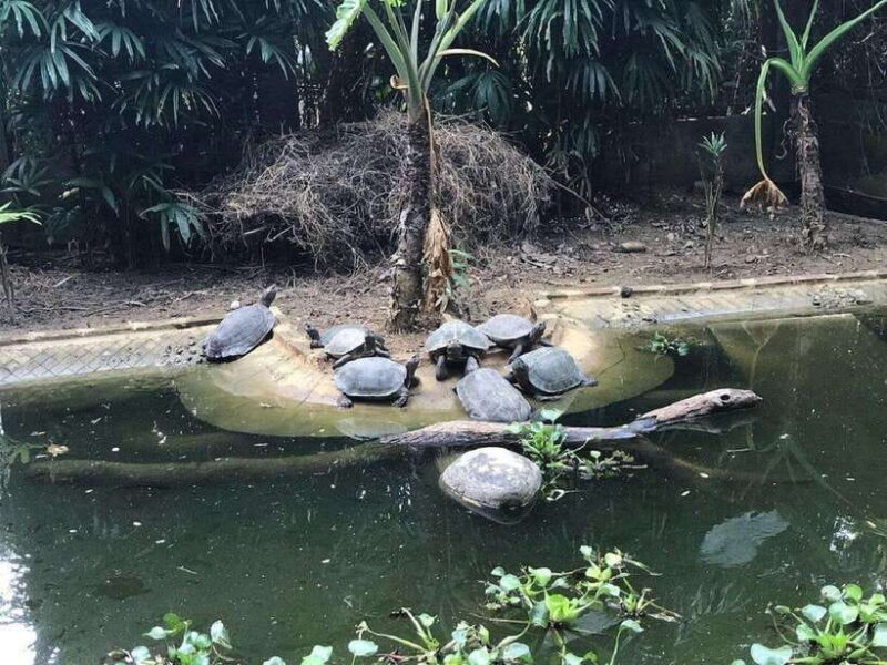 From Ninh Binh: Cuc Phuong National Park Day Trip With Lunch - Lunch in the Park