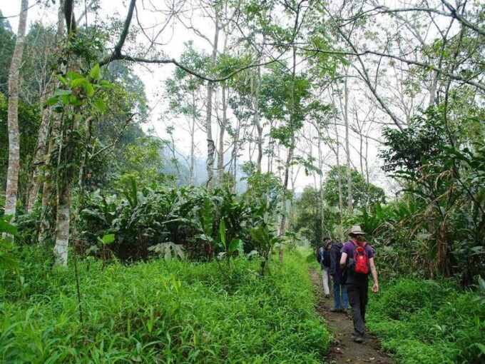 From Ninh Binh: Cuc Phuong National Park Day Trip With Lunch - Return to Ninh Binh City