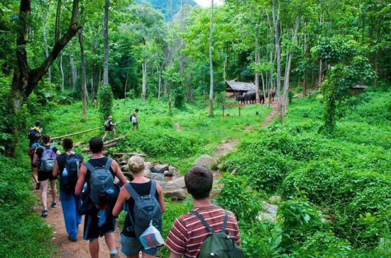 From Ninh Binh Cuc Phuong National Park Group Day Tour - Itinerary and Duration