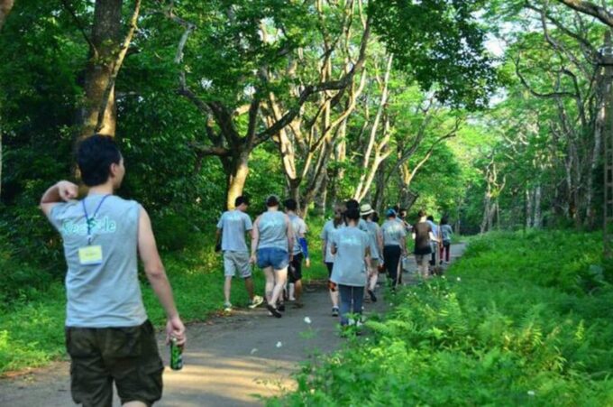 From Ninh Binh Cuc Phuong National Park Group Day Tour - Trekking in the Forest