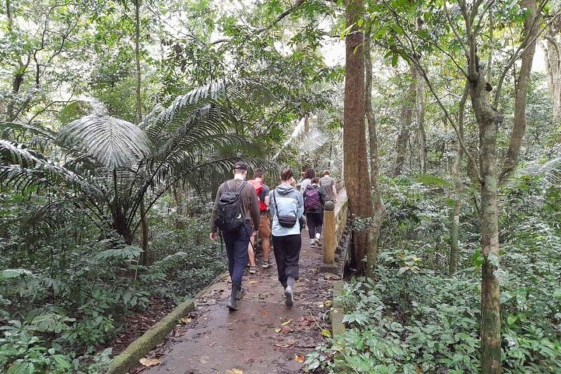 From Ninh Binh: Cuc Phuong National Park Guided Tour & Lunch - Itinerary Highlights