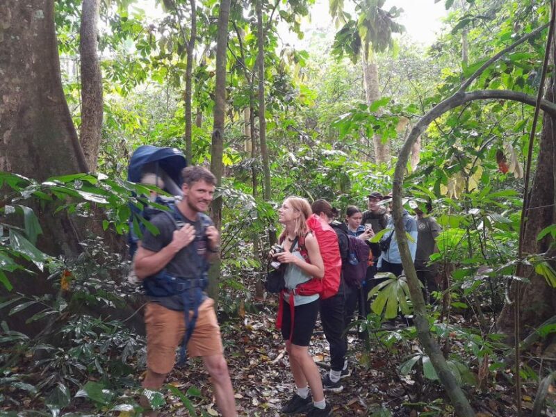 From Ninh Binh: Cuc Phuong National Park Guided Tour & Lunch - Trekking to 1000 Years Old Tree