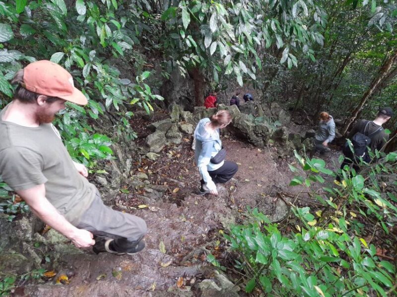 From Ninh Binh: Cuc Phuong National Park Guided Tour & Lunch - Trekking to Ancient Tree