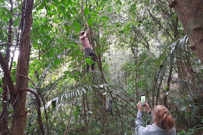 From Ninh Binh Cuc Phuong National Park One Day Trekking Tour - Highlights of the Park