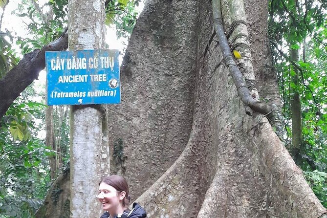 From Ninh Binh Cuc Phuong National Park One Day Trekking Tour - Exploring the Parks Natural Wonders