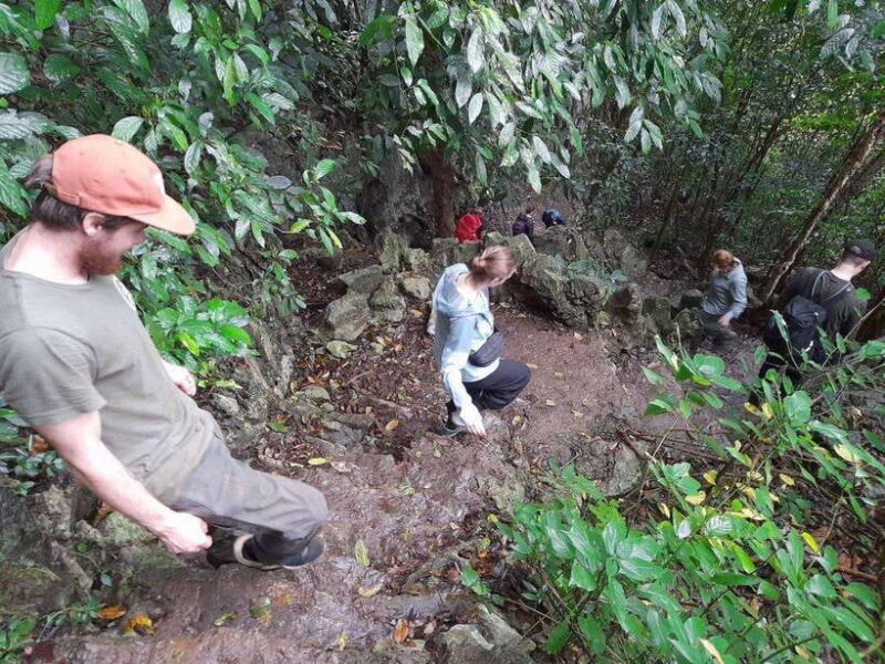 From Ninh Binh: Cuc Phuong National Park Trekking Day Tour - Savoring the Vietnamese Set Lunch