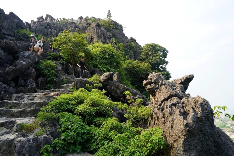 From Ninh Binh Hoa Lu Trang An Mua Cave Full Day - UNESCO World Heritage Site