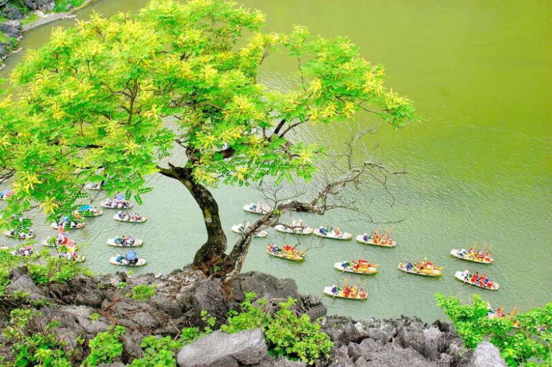From Ninh Binh: Longest Day Trip- Trang An, Mua Cave, Lunch - Boat Trip in Trang An