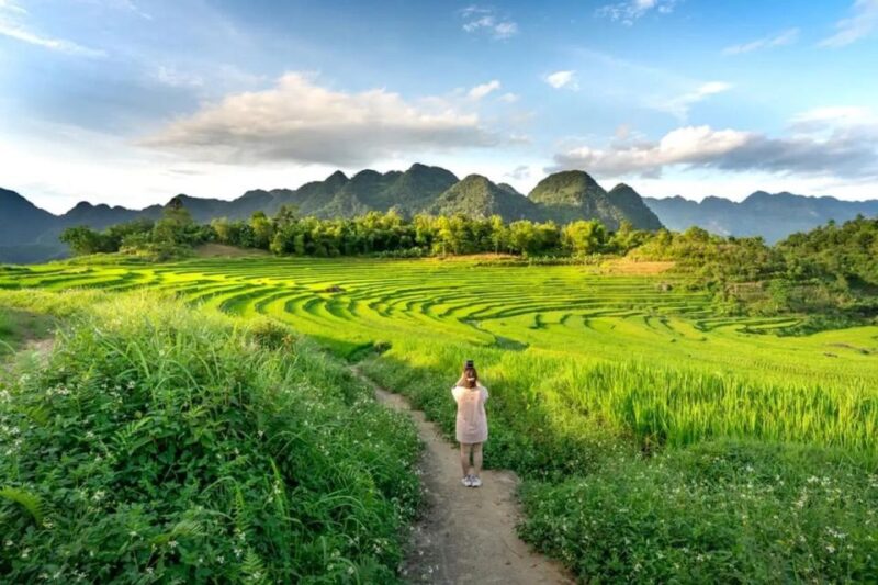 From Ninh Binh: Pu Luong 2 Days 1 Night Drop off in Hanoi - Included Services