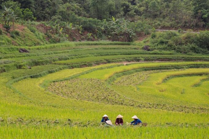 From Ninh Binh: Pu Luong 2 Days 1 Night Drop off in Hanoi - Hotel Pickup and Drop-off