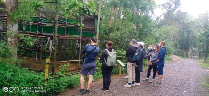 From Ninh Binh Small Group Discover Cuc Phuong National Park - Botanical Garden