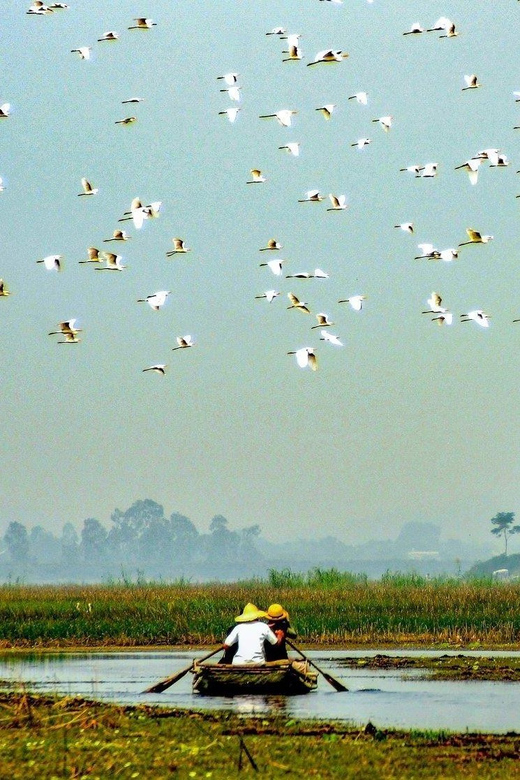 From Ninh Binh: Visit Cuc Phuong National Park - Van Long - Itinerary Highlights