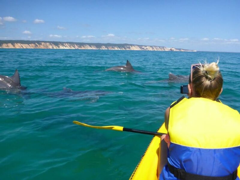 From Noosa: Dolphin Sea Kayaking and Beach 4X4 Tour - Itinerary Details