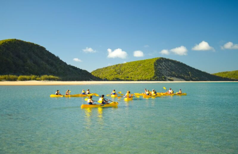 From Noosa: Dolphin Sea Kayaking and Beach 4X4 Tour - Scenic Beach Drive