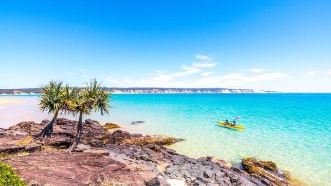 From Noosa: Dolphin Sea Kayaking and Beach 4X4 Tour - Spotting Wildlife