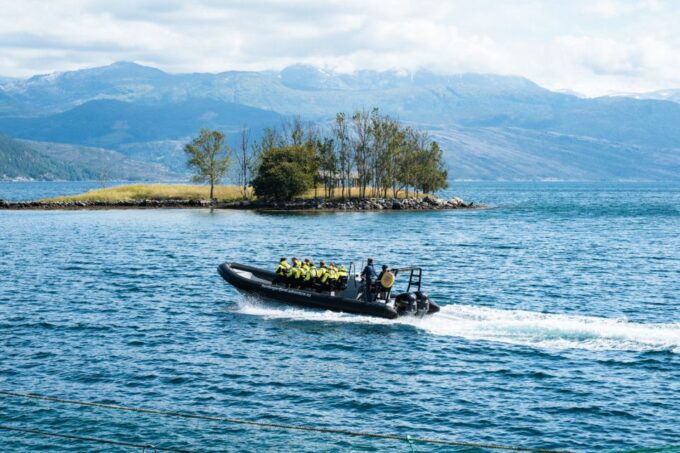 From Norheimsund: Hardangerfjord & Fyksesund RIB Fjord Tour - Scenic Exploration