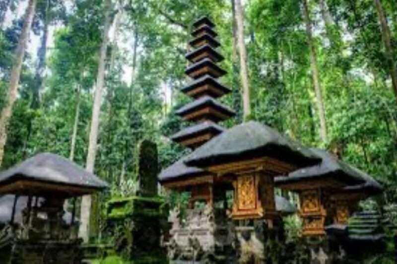 From North Bali: Tanah Lot, Sangeh Forest & Ulun Danu Temple - Participant Information