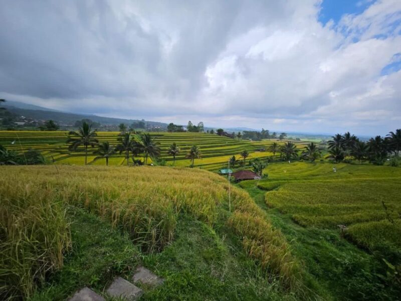 From North Bali: Tanah Lot, Sangeh Forest & Ulun Danu Temple - Duration and Price