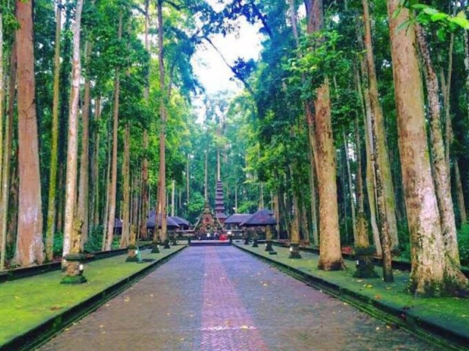 From North Bali: Tanah Lot, Sangeh Forest & Ulun Danu Temple - Cancellation and Booking