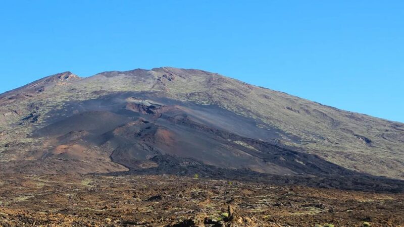 From North/South Tenerife: Half-Day Tour to Mount Teide - Highlights and Experience