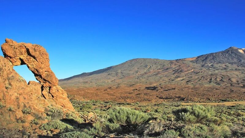 From North/South Tenerife: Half-Day Tour to Mount Teide - Accessibility and Restrictions