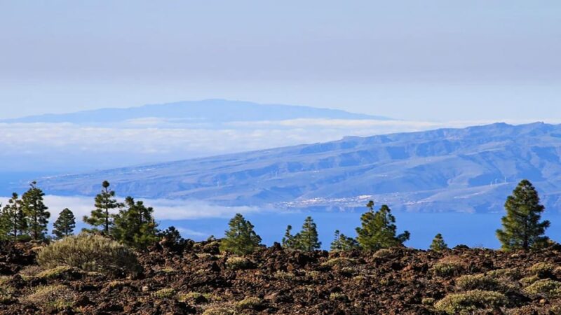 From North/South Tenerife: Half-Day Tour to Mount Teide - Customer Reviews