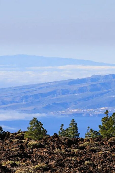 From North/South Tenerife: Half-Day Tour to Mount Teide - Duration and Price