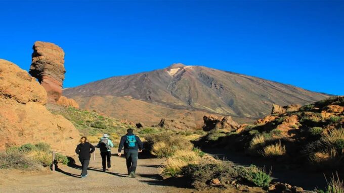 From North/South Tenerife: Half-Day Tour to Mount Teide - Explore Teide National Park