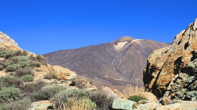 From North/South Tenerife: Half-Day Tour to Mount Teide - Frequently Asked Questions