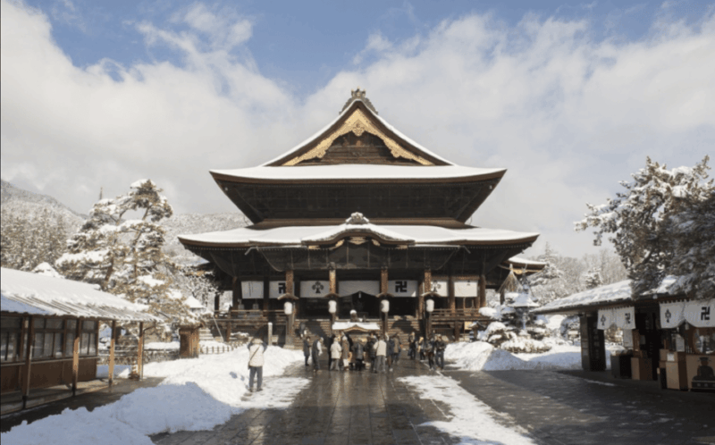 From Nozawa Onsen: Snow Monkeys and Zenko-ji Day Trip & Sake - Important Considerations