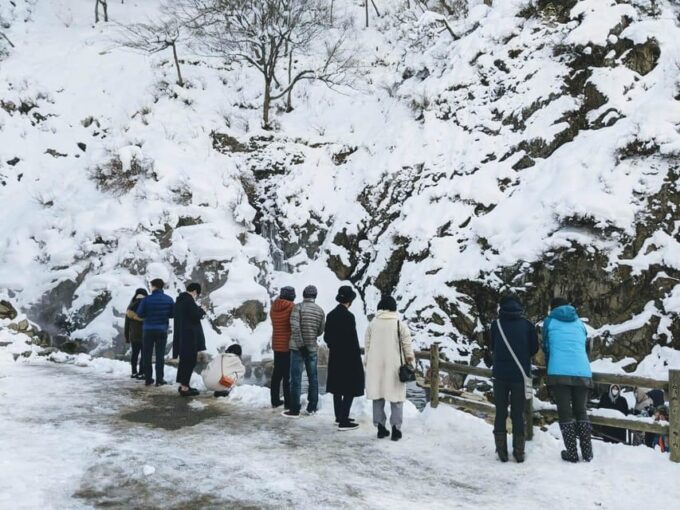 From Nozawa Onsen: Snow Monkeys and Zenko-ji Day Trip & Sake - FAQ