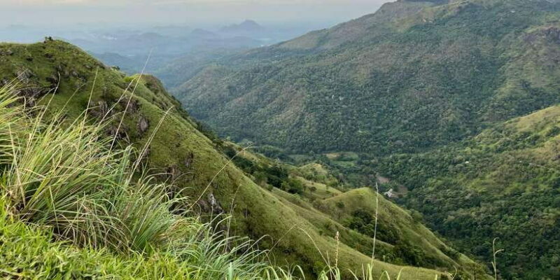 From Nuwara Eliya: Ella City Tour with Little Adam's Peak - Analyzing the Value