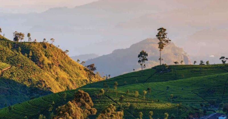 From Nuwara Eliya: Haputale Highlands Private Day Tour - Key Points
