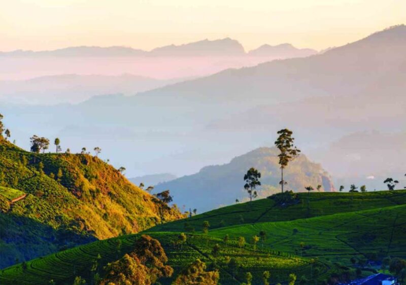 From Nuwara Eliya: Haputale Highlands Private Day Tour - Dambatenne Tea Factory