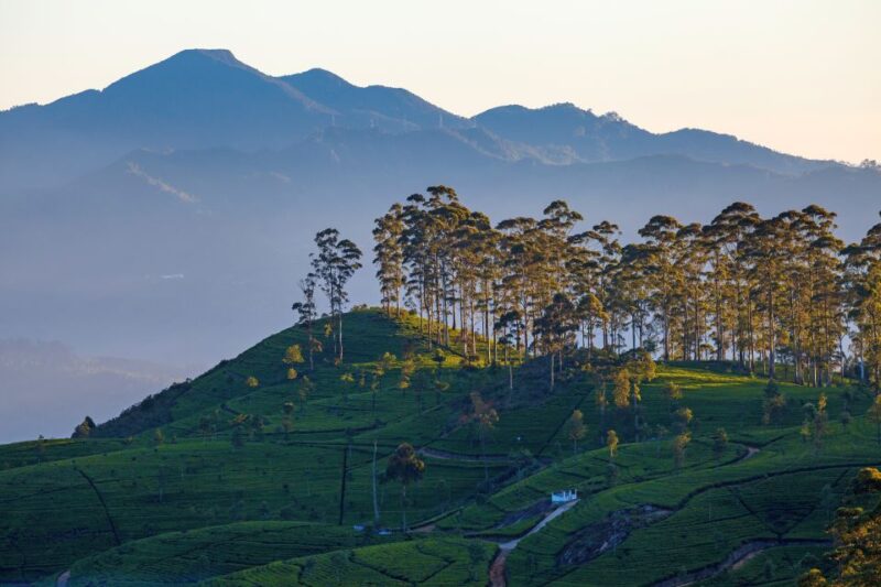 From Nuwara Eliya: Haputale Highlands Private Day Tour - Frequently Asked Questions