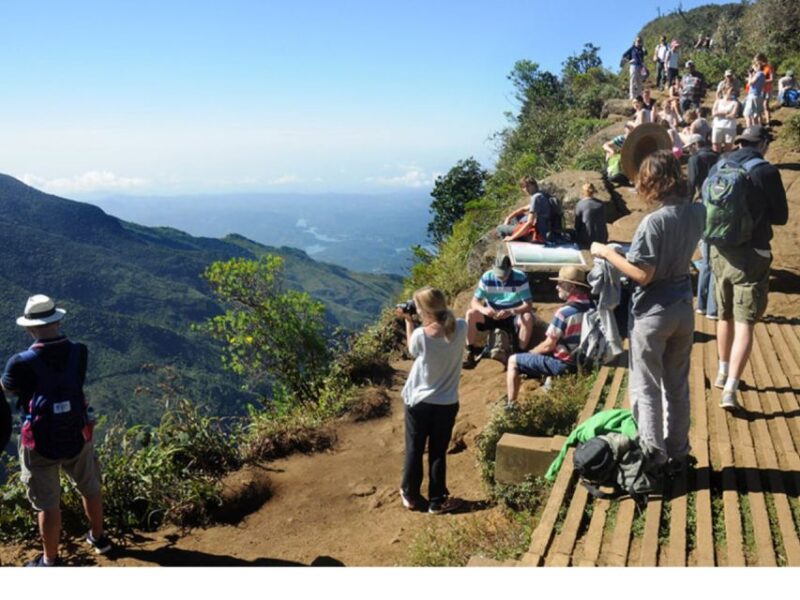 From Nuwara Eliya: Horton Plains Trekking & Tea Factory Tour - Key Points