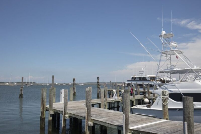 From NYC: Hamptons, Sag Harbor, and Outlet Shopping Day Trip - Additional Information