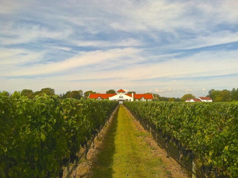 From Nyc: Long Island Winery Tours With Lunch - Customer Feedback