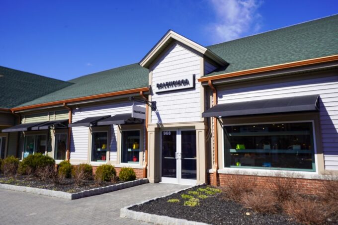 From NYC: Woodbury Common Premium Outlets Shopping Tour - Outlet Store Selection