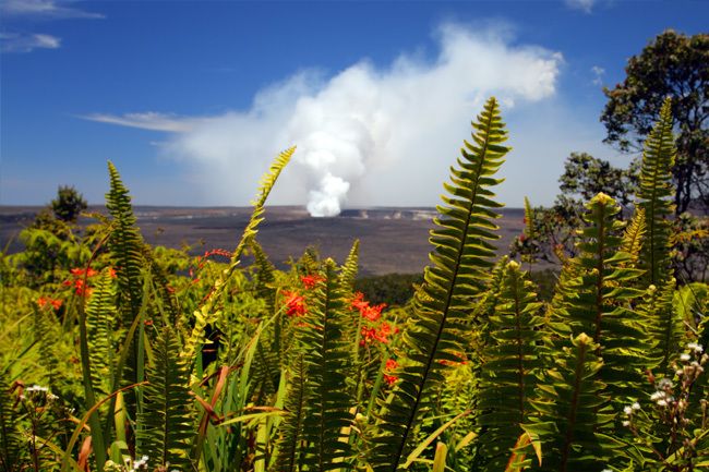 From Oahu: Big Island Volcano & Helicopter Adventure - Pricing and Inclusions
