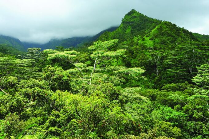 From Oahu: Kauai Movie Tour & Helicopter Adventure - Independent Booking Recommendations
