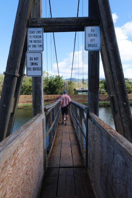 From Oahu: Kauai Waimea Canyon and Kokee State Park Tour - Key Points