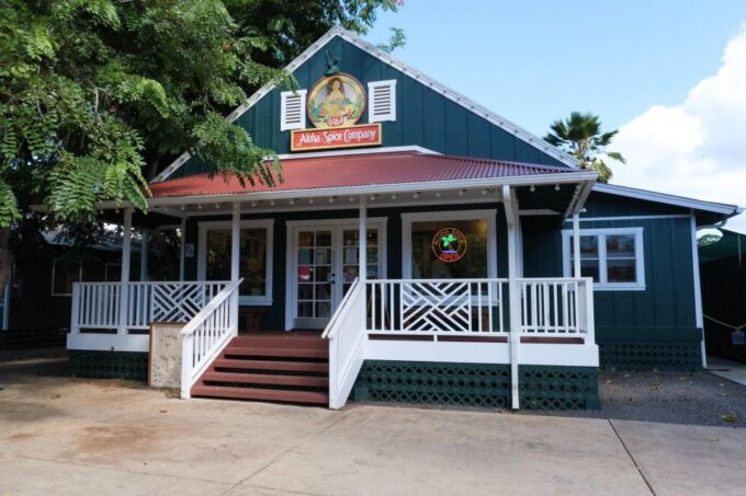 From Oahu: Kauai Waimea Canyon and Kokee State Park Tour - Kokee State Park Hike