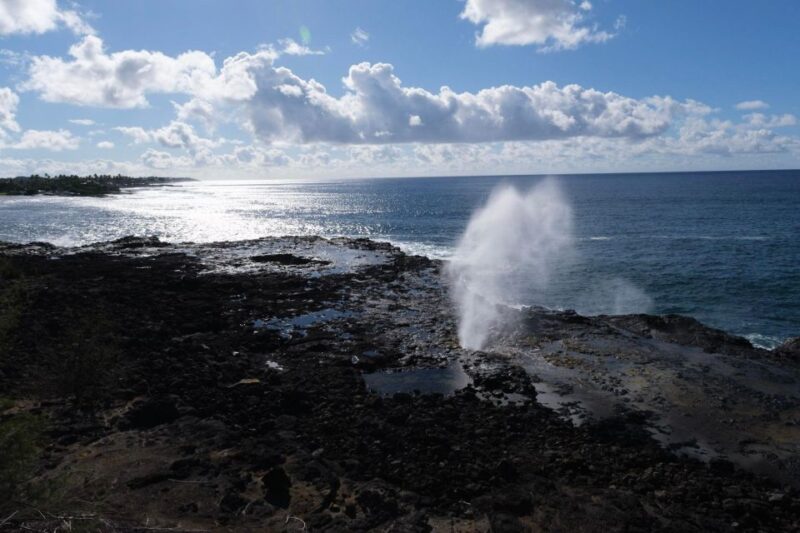 From Oahu: Kauai Waimea Canyon & Wailua River Tour - Key Points