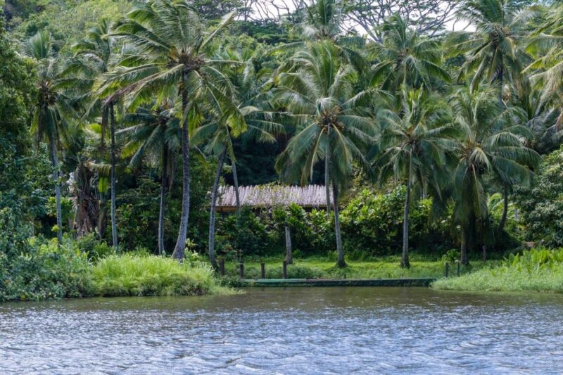 From Oahu: Kauai Waimea Canyon & Wailua River Tour - Participant Information