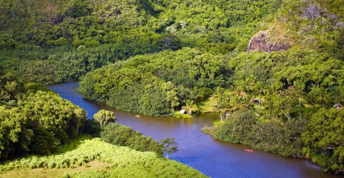 From Oahu: Kauai Waimea Canyon & Wailua River Tour - Frequently Asked Questions