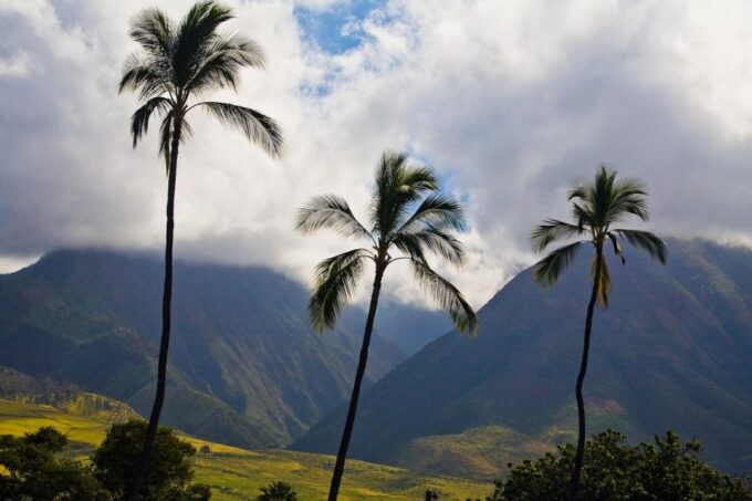 From Oahu: Maui Haleakala and Iao Valley Tour - Sightseeing and Activities