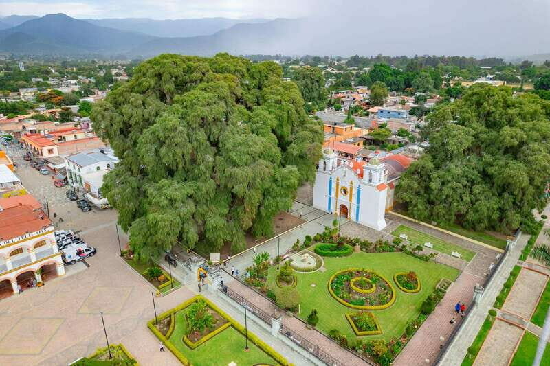 From Oaxaca: City, Mitla, and Mezcal Factory Tour - What to Expect from the Tour