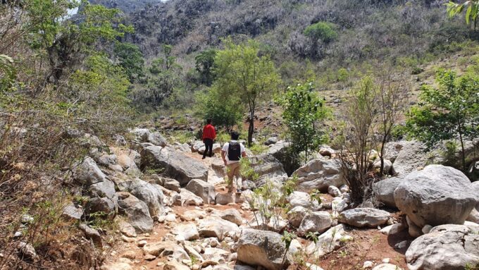 From Oaxaca: Guided Santiago Apoala Day Trip & Lagoon Visit - Group Size and Duration