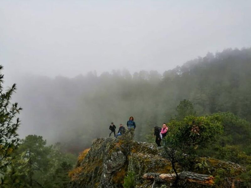 From Oaxaca: Hierve El Agua, Mitla, Tule Tree & Mezcal Tour - Key Points